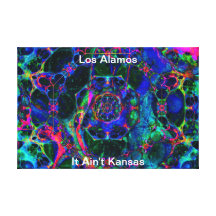 Time Travel Through the Worm Hole Stretched Canvas Print