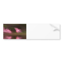 Time Traveler Bumper Sticker