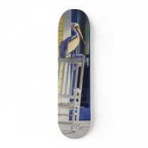 "Time Traveler" Pelican on Rocking Chair Skateboard Decks
