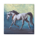 Timeless Arabian horse magnet