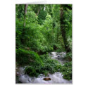 timeless beauty cards by somdesigns timeless beauty cards