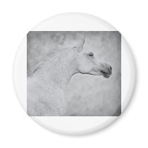 Timeless Beauty Fridge Magnets