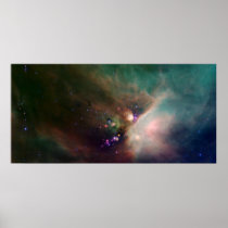 Timeless Beauty Print
