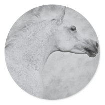 Timeless Beauty Stickers