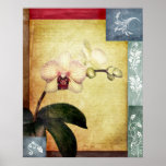 Timeless Orchid Posters