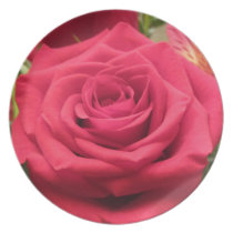 Timeless Rose Plate plates