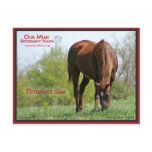 Timeless Sue Postcard