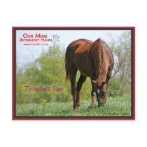 Timeless Sue Postcard
