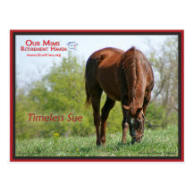Timeless Sue Postcard