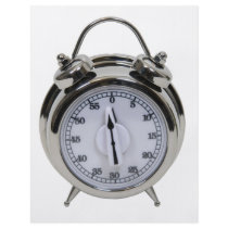 Timer082009 flyers