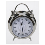 Timer082009 flyers