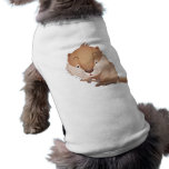 Timid Beaver Dog Clothes