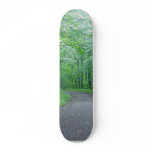Timms Hill Park Wisconsin Skateboard Deck