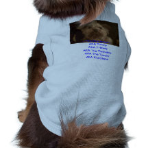 Timmy AKA Dog Shirt