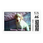 Timmy. Postage Stamp