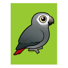 Timneh African Grey Parrot Post Cards