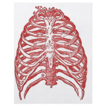 Tin Ribs flyers