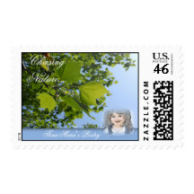 Tina Marie's Poetry Postage