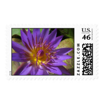 Tina postage