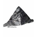 Tinfoil Hat Paranoia Women's T-shirt