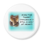 Tiniest Chihuahua... Fridge Magnet
