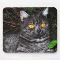 Tinka cat mouspad mousepads