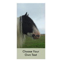 Tinker Profile Portrait Photo Card