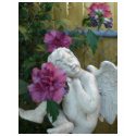 Tiny Angel Top t-shirts
