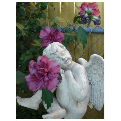 tiny angel model photos