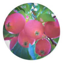 Tiny Apples stickers by nmpics Tiny Apples stickers