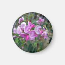 Tiny aromatic pink flowers refrigerator magnets