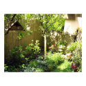 Tiny Balcony Garden posters