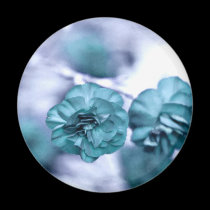Tiny Blue Flower Floral Print magnets