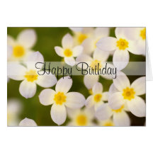 Tiny Bluet Wildflowers Psalm 20:4 Birthday Card