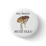 tiny button