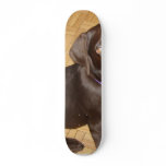 Tiny Chocolate Brown Labrador Puppy Custom Skate Board