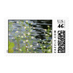 Tiny Daisies Lakeside