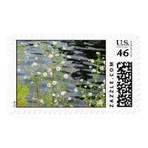 Tiny Daisies Lakeside postage by sexycher Tiny Daisies Lakeside postage