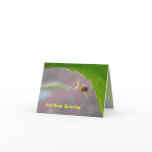 Tiny Desert Spider - Note Card #2
