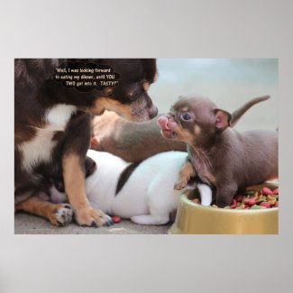 Tiny Dog Family at Dinner Poster