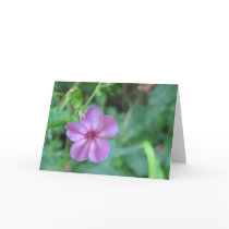 Tiny Flower Note Card