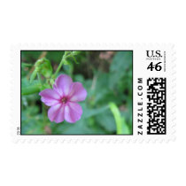 Tiny Flower Postage Stamp by mulberry1 Tiny Flower Postage Stamp