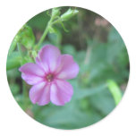 Tiny Flower Sticker