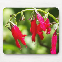 Tiny Flowers mousepads