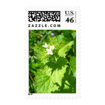 Tiny Flowers stamps