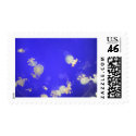 Tiny Jellyfish In Hull Aqua Park postage