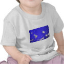 Tiny Jellyfish In Hull Aqua Park t-shirts