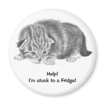tiny kitten fridge magnet