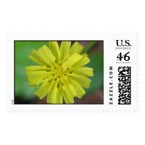 Tiny life again postage by gfrbf3761 Tiny life again postage