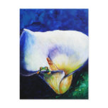 Tiny Miracle Postcards